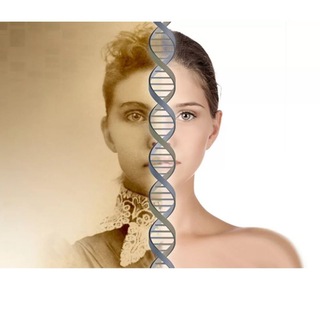 Родология в психологии