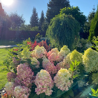 Сад_IrinaGarden💚