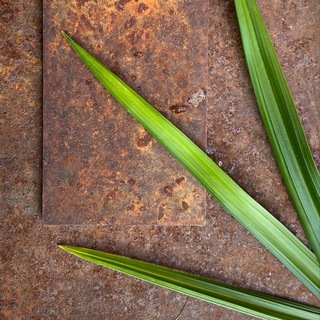 Железный сад - производство скульптуры и МАФ из металла