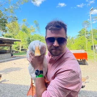 🚦🇵🇭 Дорога как ответ