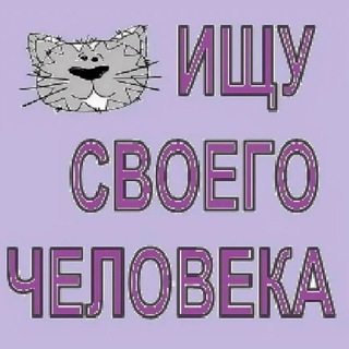 Ищу человека🐱🐶