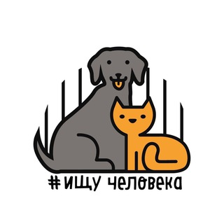 БФ «Ищу человека»