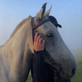 искренность