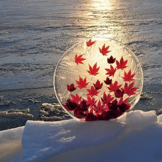 Искусство природы 🏞