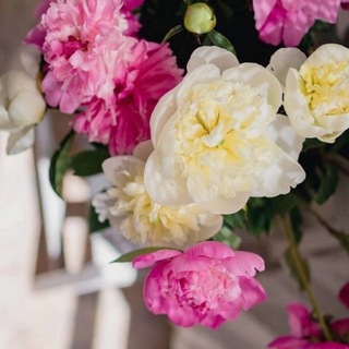 𝒅𝒖𝒏𝒚𝒂✨