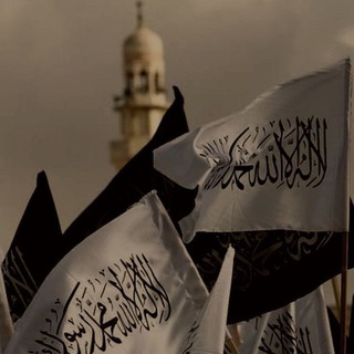 Мысли путника 🕋