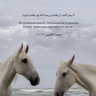 Цель- -Довольства Аллаха