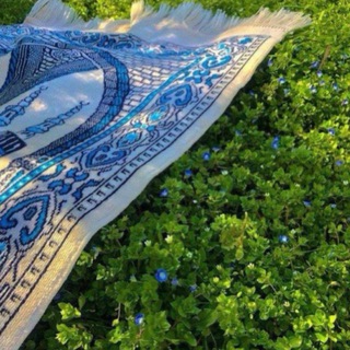 Ислам сегодня