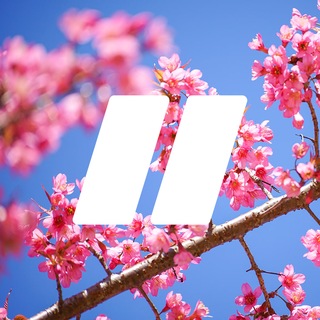 Ispmanager — сайты, хостинг, безопасность