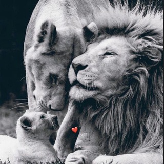 ام عبد الجبار