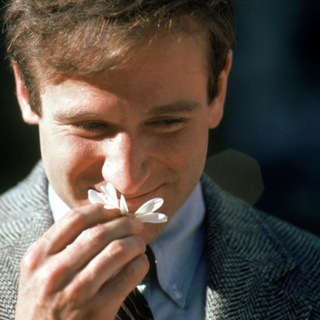 istellarbooks ☕️📚