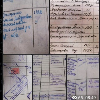 Архивные истории и генеалогия