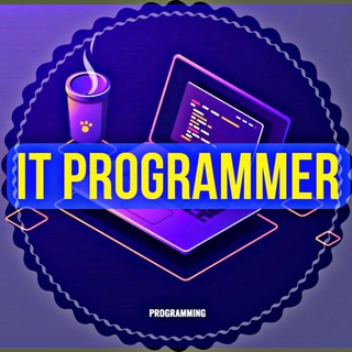 IT PROGRAMMER