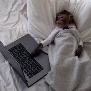 IT Syndicate [АРХИВ]