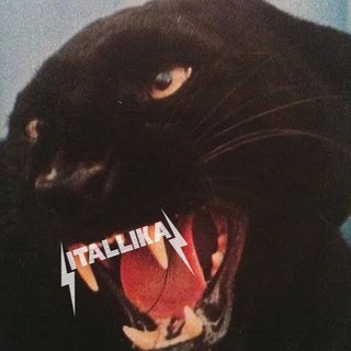ITALLIKA