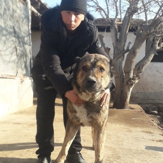 Dunyo it ishqibozlari 🇺🇿🇺🇿🇺🇿🥇🏆🏆🏆🎖