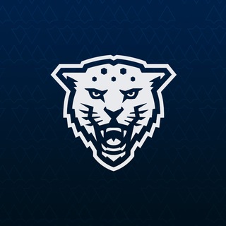 Спортивный покер | Кронверкские барсы | ИТМО