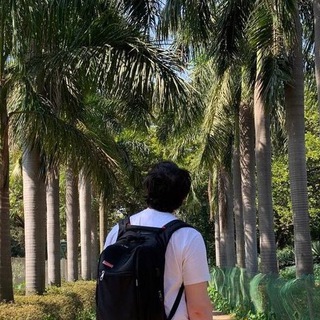 it sheriff и его software