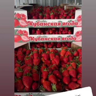 КФХ Кучма Иван канал