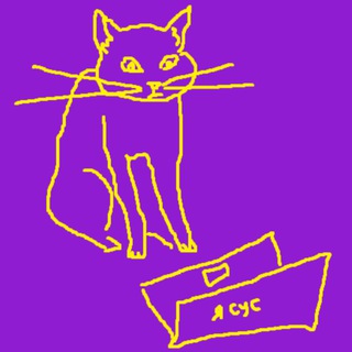 всем привет это ксюша