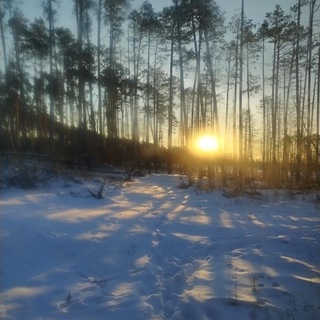 Из Сибири с любовью