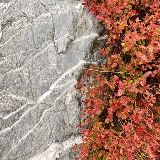 Господин горных дорог