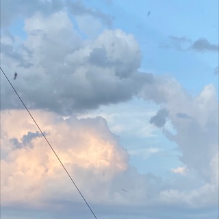 У каждого свой путь