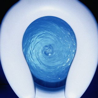 туалетные thoughts