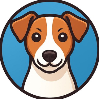 Джек Рассел 🐕 Общение и Советы