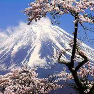 Здоровье из Японии