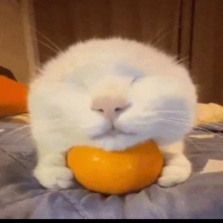 Картель Abobirtio 14:38