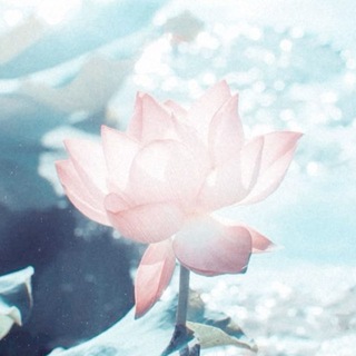 JELLYFISHLY 💠 JEWERLY SHOP