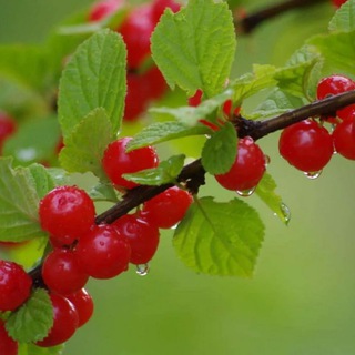 Женский мир🌹