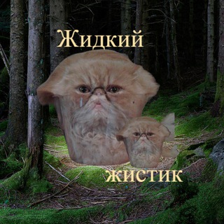 Жидкий Жистик