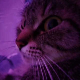 феликс 𝒢𐐼‌ׄmes͟͟ ࣪ (( ホ )