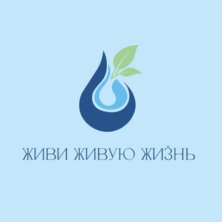 Живи Живую Жизнь