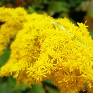 Права и Право