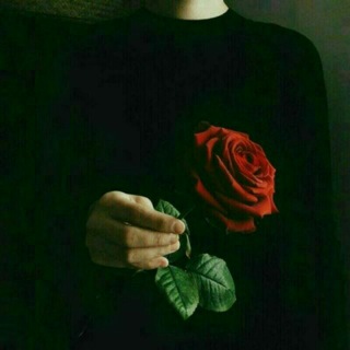 B.E.V.E.R.L.E.E Club