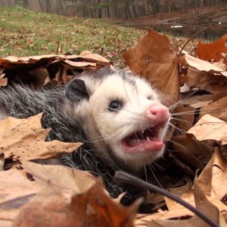 Работа, работа, перейди на Федота…