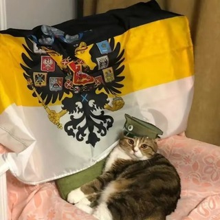 ЧВК жон.нет 🇷🇺