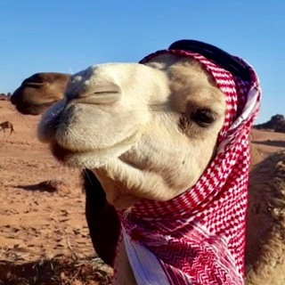 Иордания от А до Я🇯🇴