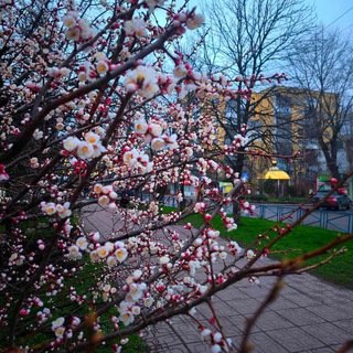 Юбилейный Луганск 🤍