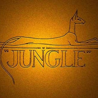 Питомник JUNGLE Ориентальные и сиамские кошки.