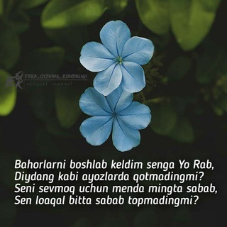 Fikrlarni birgalikda muhokama qilamiz😉