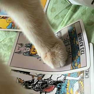 тёмное место гульки️🐈‍⬛️