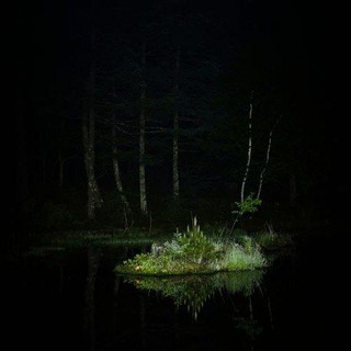 Nightmare of Loch Ness