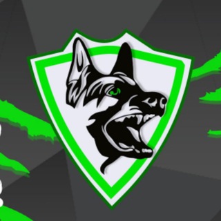 К-9 на связи