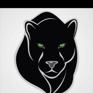 Тула Глазами животного