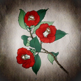 Павел do_ka_pa838