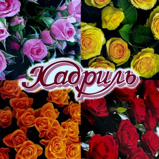 КАДРИЛЬ женская/мужская одежда ОМСК